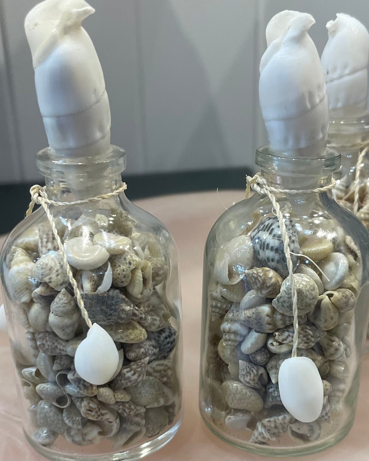 Sea Shells in a Mini Glass Bottle