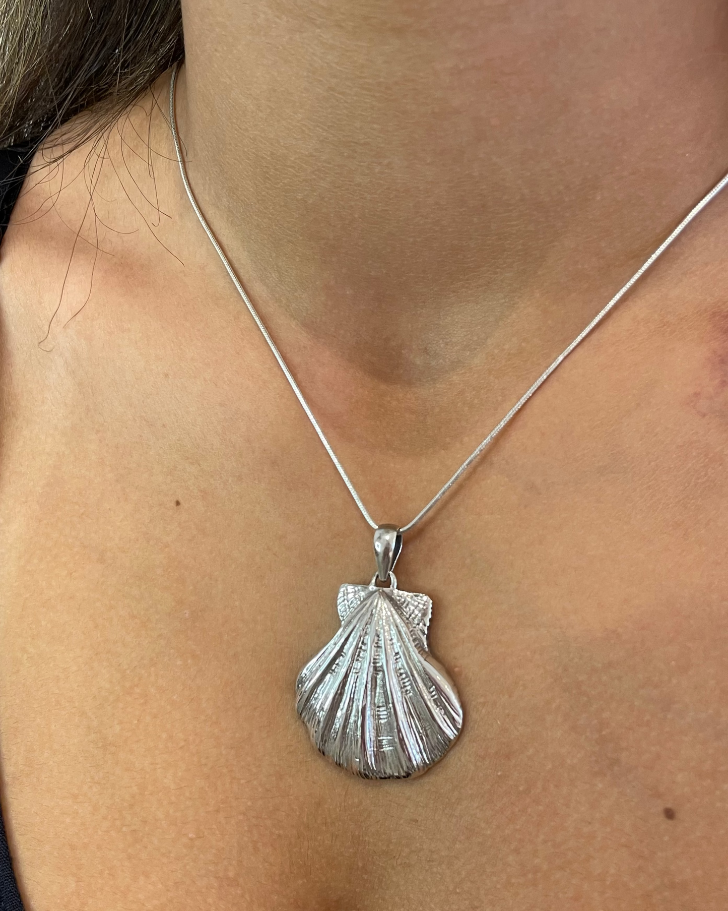 Lions Paw Shell Pendant Necklace Sterling Silver