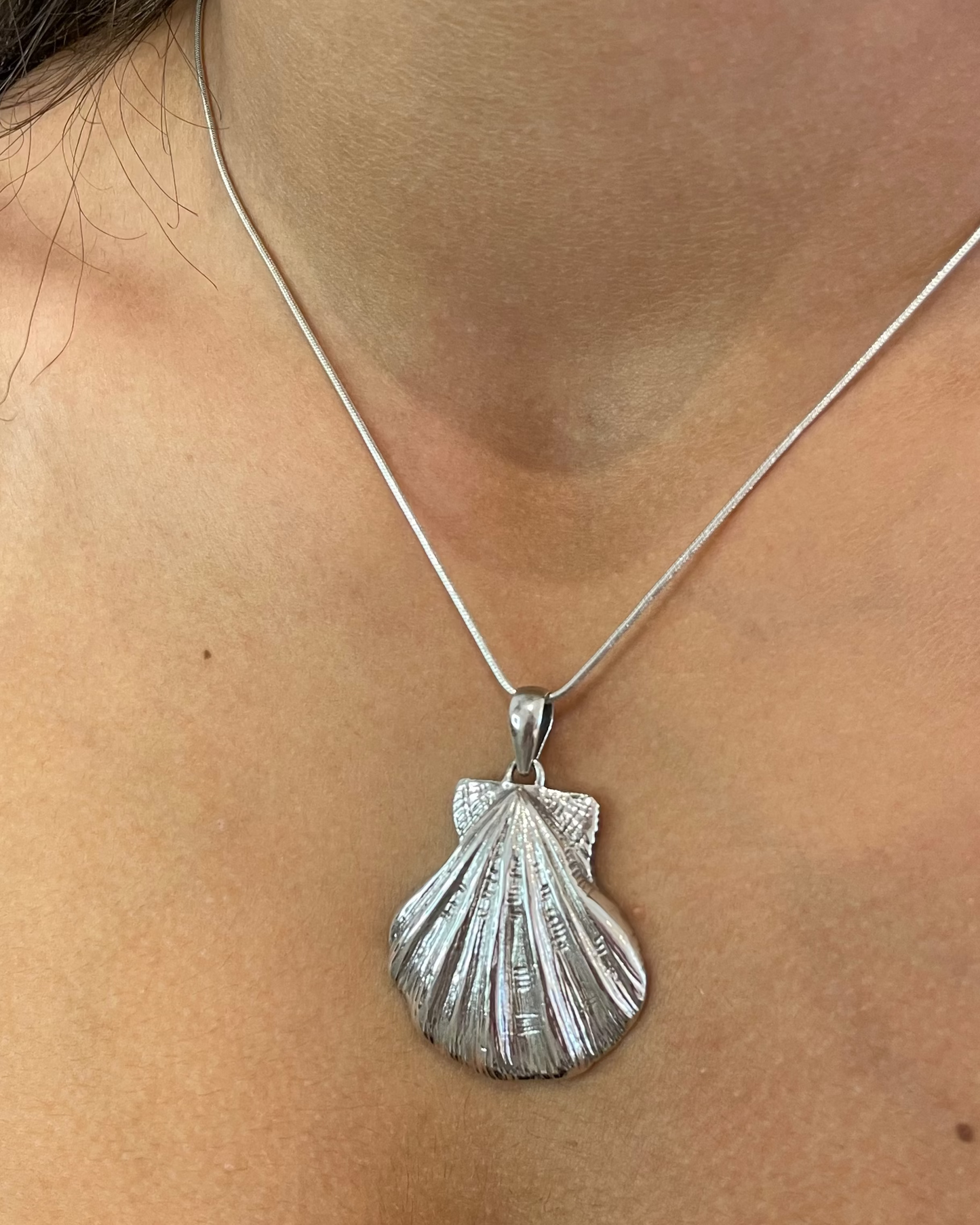 Lions Paw Shell Pendant Necklace Sterling Silver