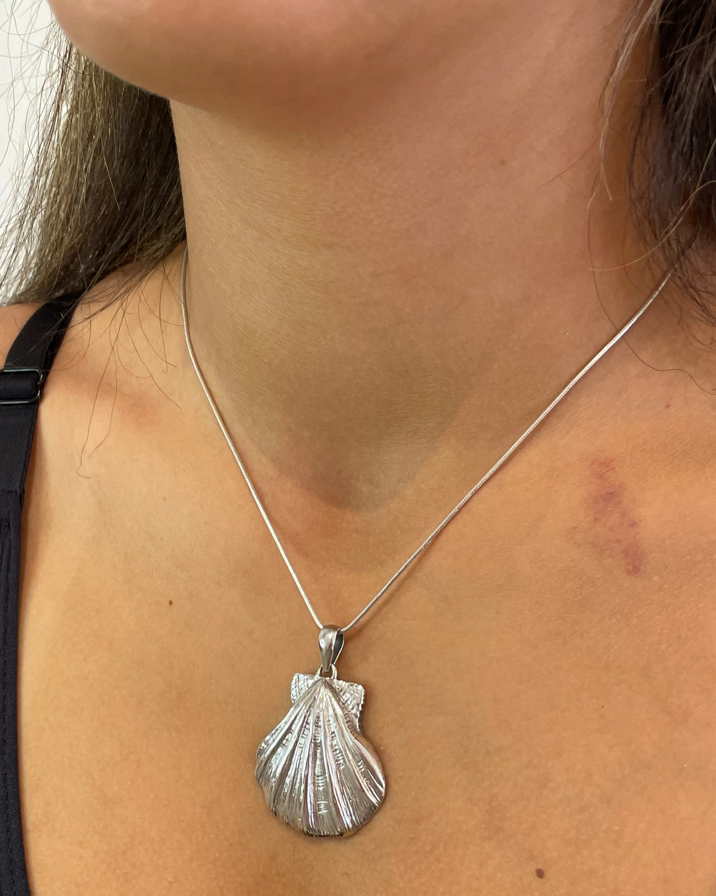 Lions Paw Shell Pendant Necklace Sterling Silver