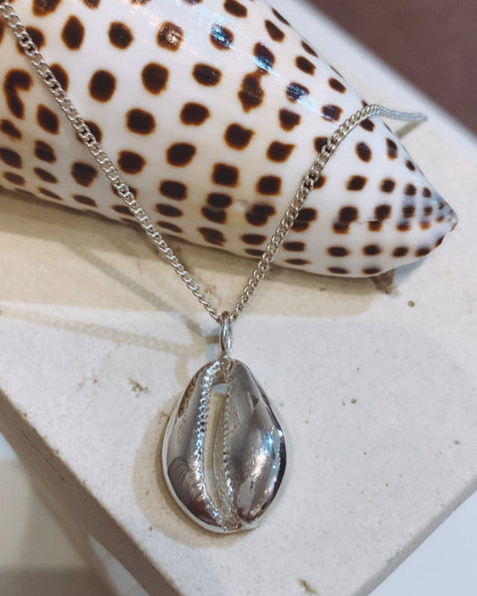 Tasmanian Cowrie Shell Pendant Necklace Sterling Silver
