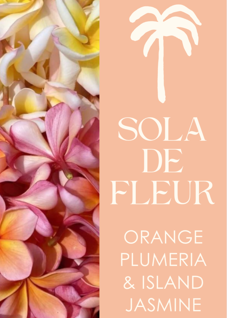 Loloma Living Home Reed Diffuser Fragrance Sola De Fleur scent profile.
