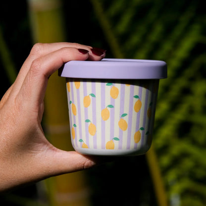 BBcino Reusable Snack Pot: Zestie Bestie