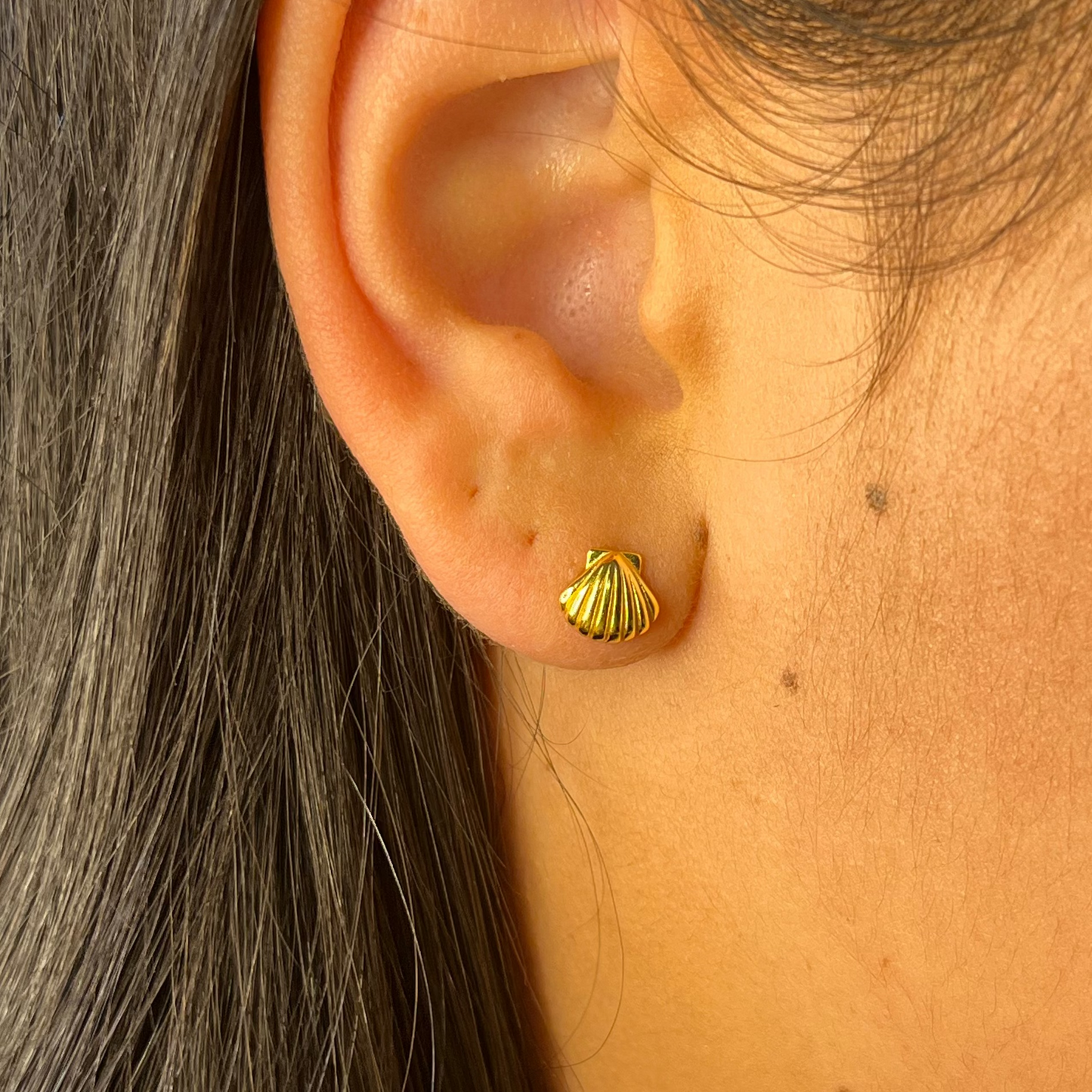 Island Lover Shell Stud Earrings 18k Gold
