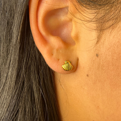 Island Lover Shell Stud Earrings 18k Gold