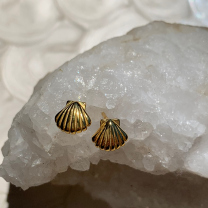 Island Lover Shell Stud Earrings 18k Gold