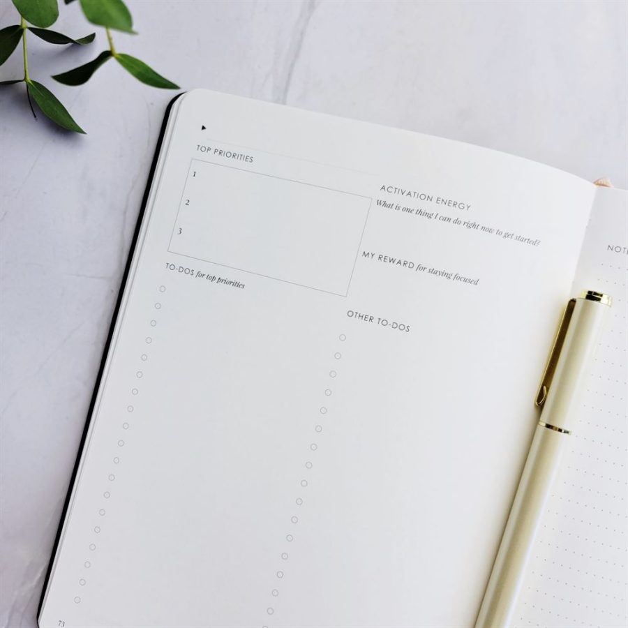 Day Organiser - Make Your Mark 'Set For Success' Daily Planner Journal Taupe
