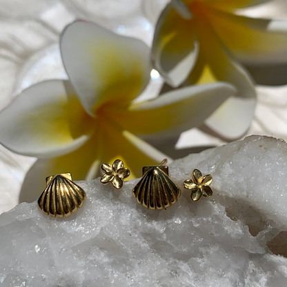 Island Lover Shell Stud Earrings 18k Gold