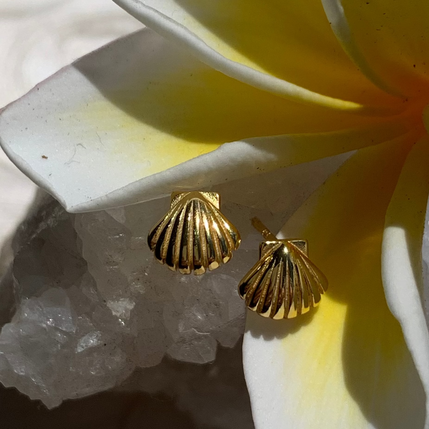 Island Lover Shell Stud Earrings 18k Gold