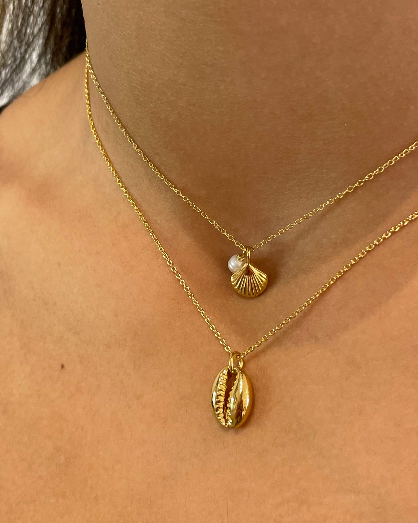 Oasis Cowrie Shell Necklace 18k Gold
