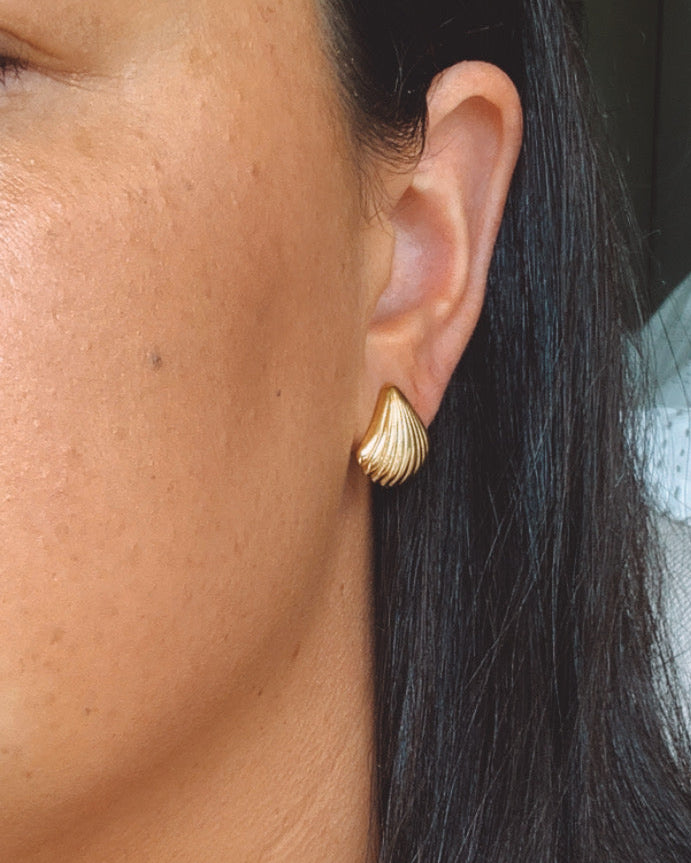Fan Shell Statement Stud Earrings 18k Gold