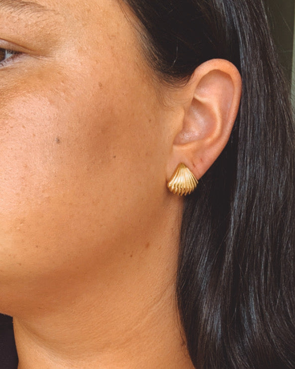 Fan Shell Statement Stud Earrings 18k Gold