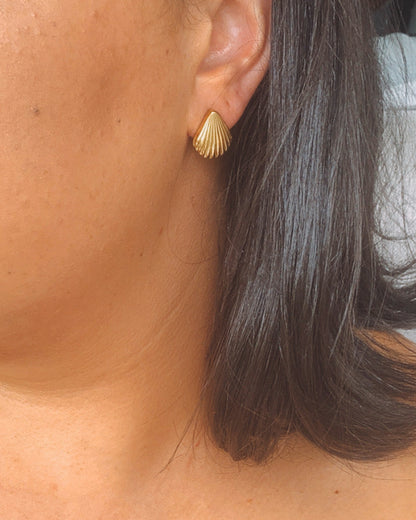 Lola Shell Statement Stud Earrings 18k Gold