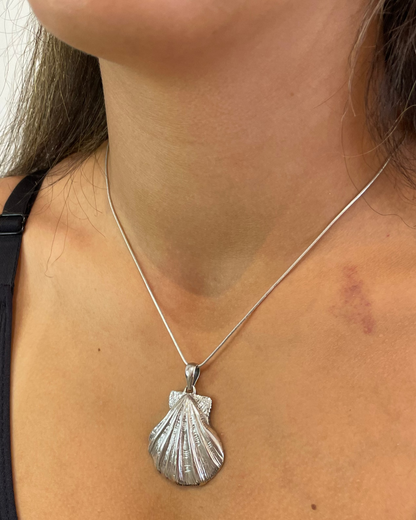 Lions Paw Shell Pendant Necklace Sterling Silver