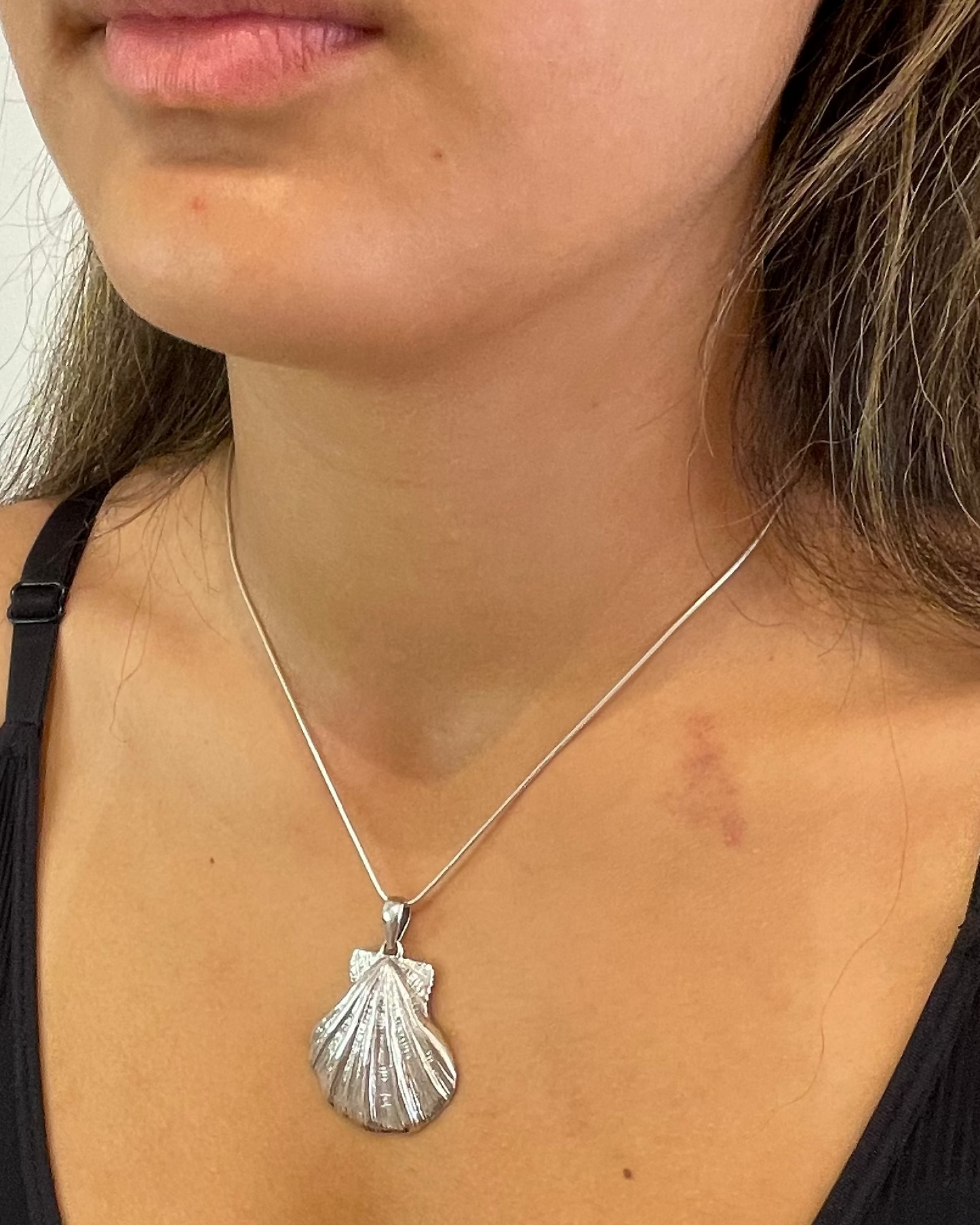 Lions Paw Shell Pendant Necklace Sterling Silver