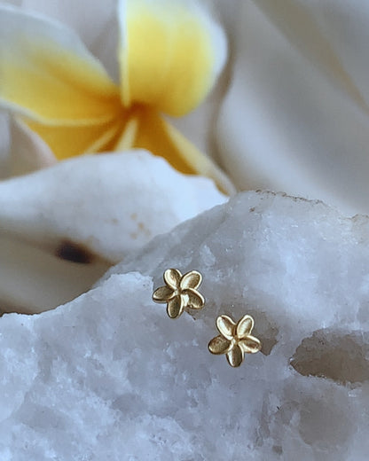 Sola Frangipani Stud Earrings 18k Gold