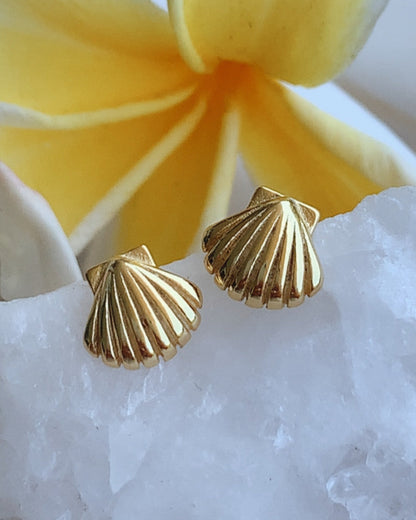 Island Lover Shell Stud Earrings 18k Gold