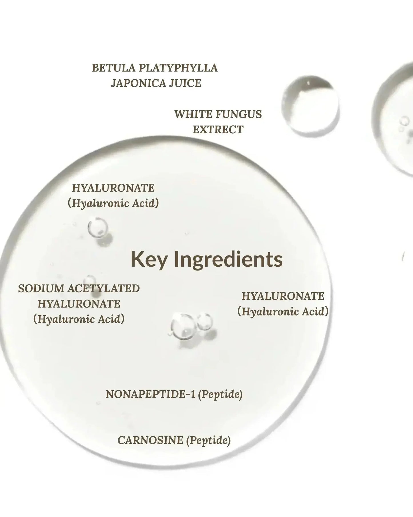 Hyaluronic acid serum ingredient breakdown for plumping skin by Ms Morning