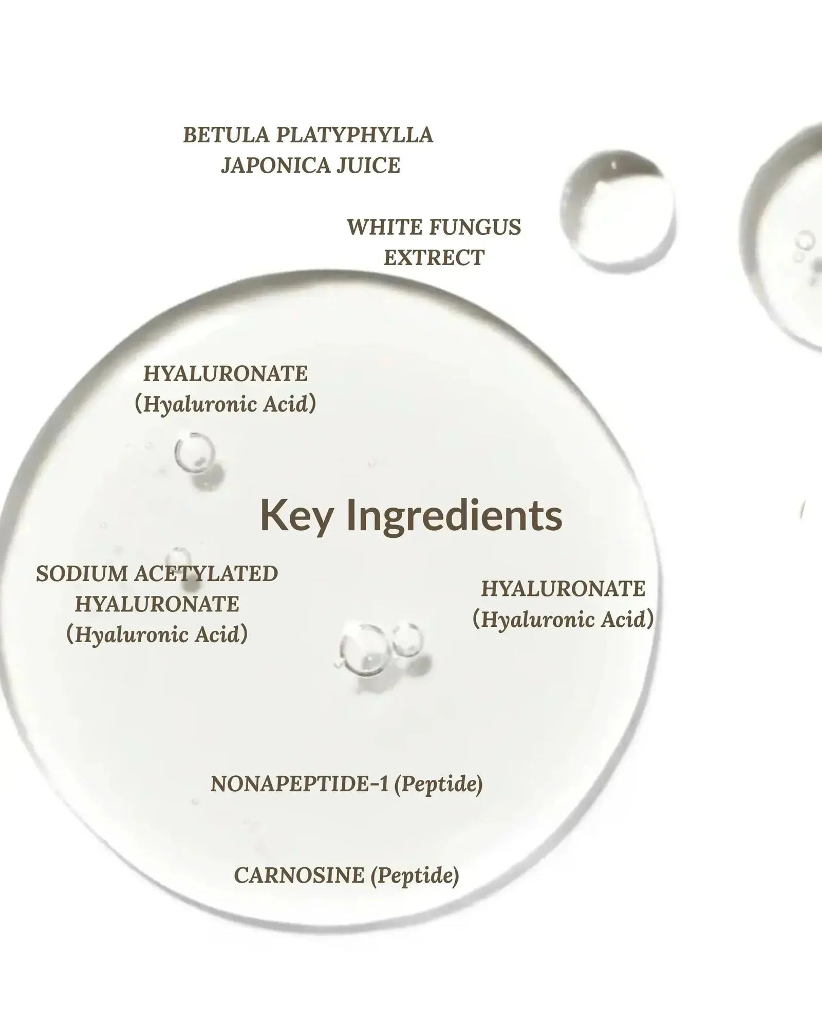 Hyaluronic acid serum ingredient breakdown for plumping skin by Ms Morning