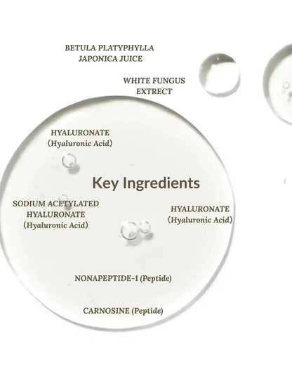 Hyaluronic acid serum ingredient breakdown for plumping skin by Ms Morning