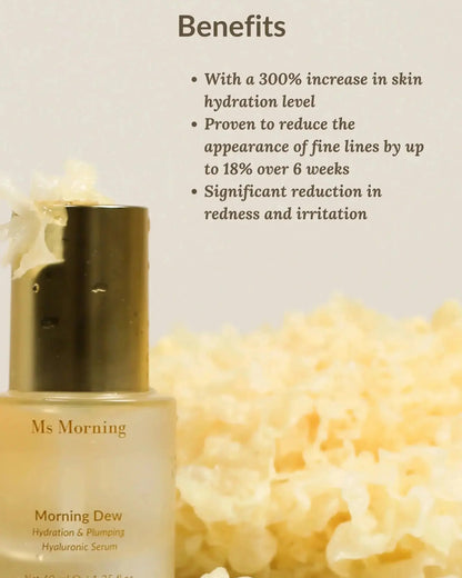 Hyaluronic acid serum ingredient breakdown for plumping skin by Ms Morning