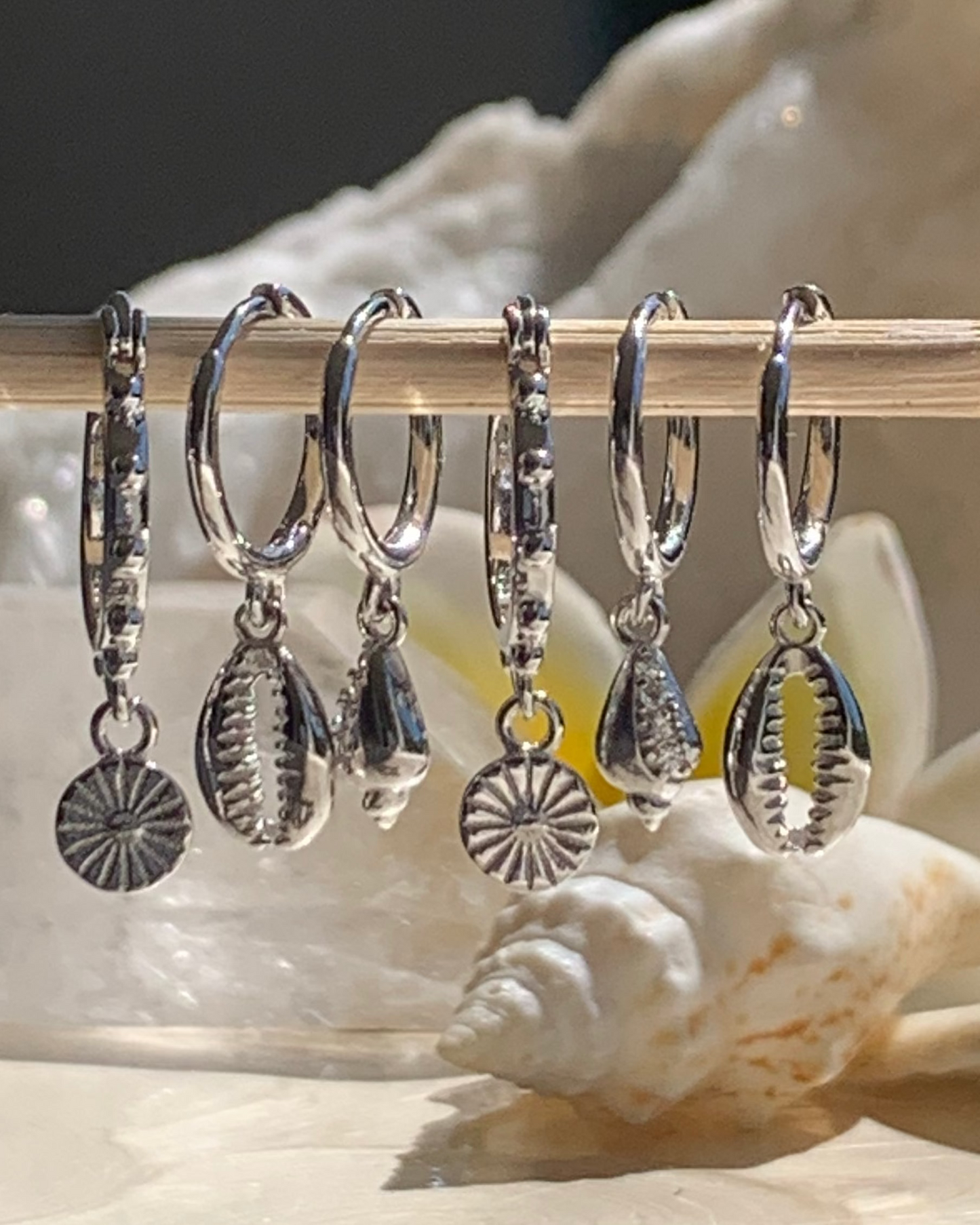 Kai Cowrie Shell Earrings Sterling Silver