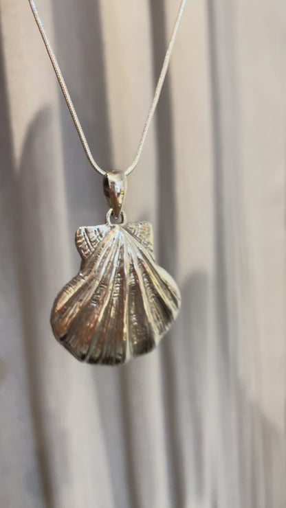 Lions Paw Shell Pendant Necklace Sterling Silver