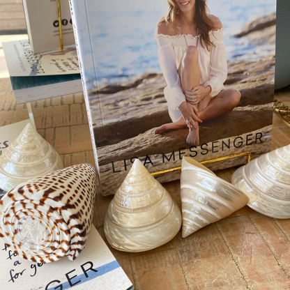 Sea Shell | Tectus Pyramis Pearly Pyramid